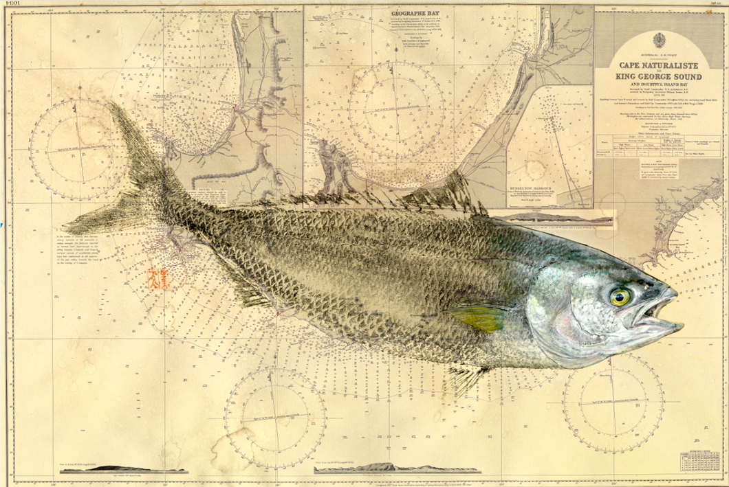 SW CHART SERIES -