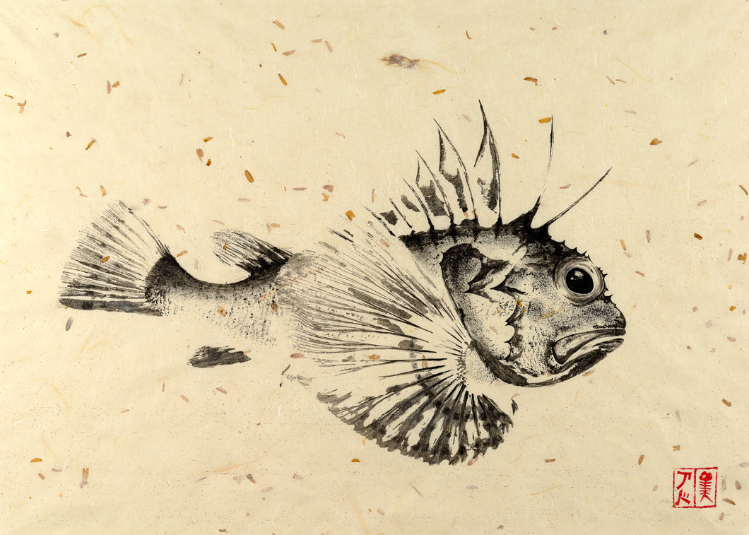 Gurnard Traditional Print