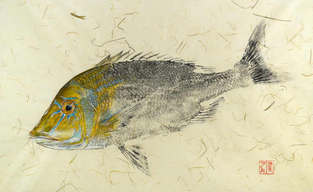 Reproduction North West Snapper Gyotaku, fisherman gift, fish art, gift for Dad, fish lovers, coastal style, fish painting