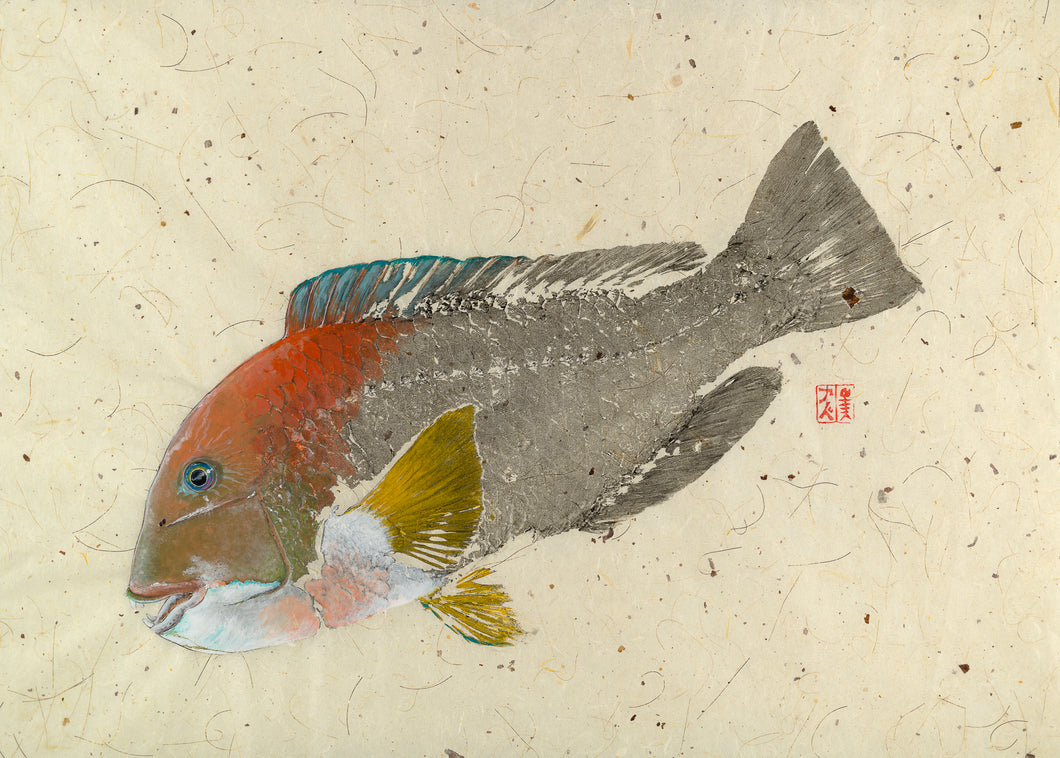 Baldchin Grouper Print, fisherman gift, fish art, gift for Dad, fish lovers, coastal style, fish painting, baldchin grouper, fishing, fish art, coastal art, beach theme, gyotaku, gifts for dad, fathers day, gifts for men, gifts for fishermen, fisherman, fish