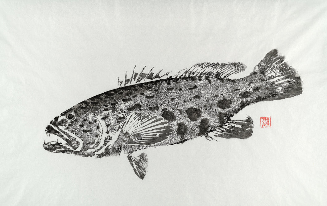 Harlequin Print by Salty Bones, fisherman gift, fish art, gift for Dad, fish lovers, coastal style, fish painting, harlequin fish, fishing, fish art, coastal art, beach theme, gyotaku, gifts for dad, fathers day, gifts for men, gifts for fishermen, fisherman, fish