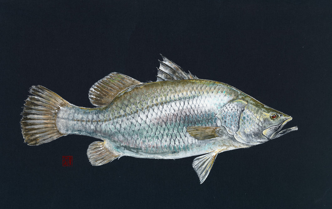 barramundi, northern territory, fishing, fish art, coastal art, beach theme, gyotaku, gifts for dad, fathers day, gifts for men, gifts for fishermen, fisherman, fish