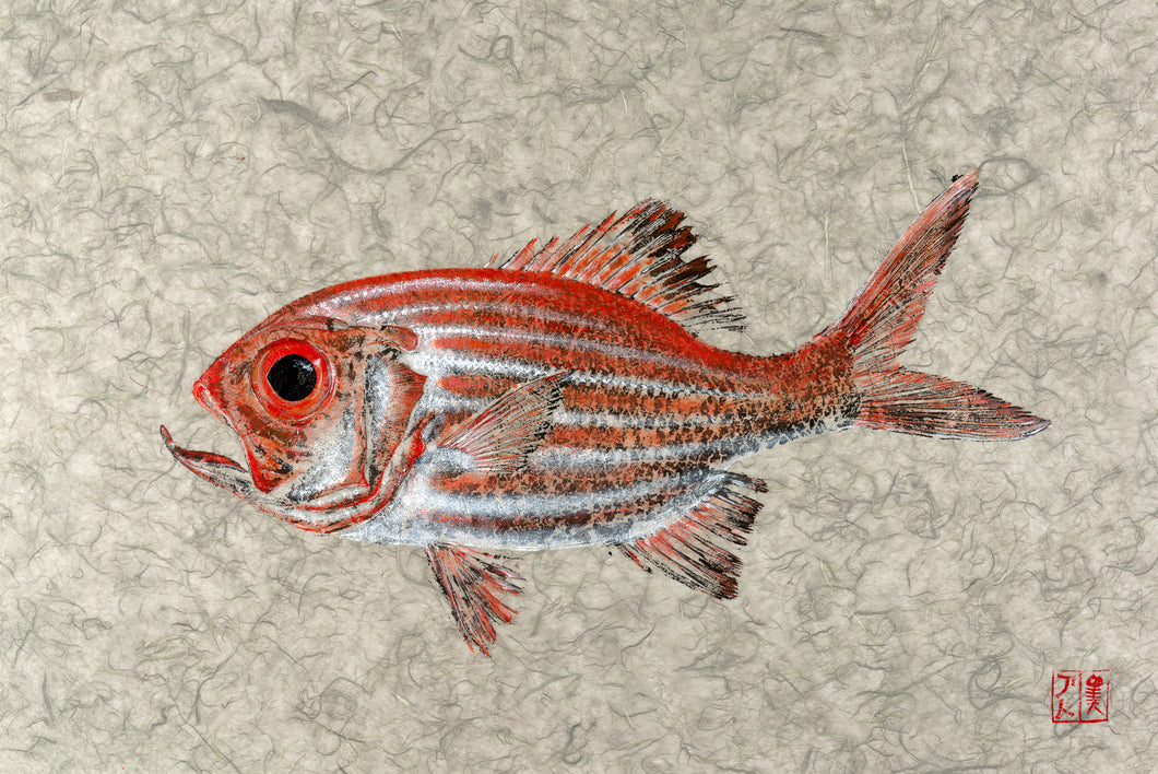 Nannygai reproduction by Salty Bones, fisherman gift, fish art, gift for Dad, fish lovers, coastal style, fish painting