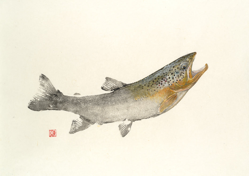 brown trout, trout fishing, fishing, fish art, coastal art, beach theme, gyotaku, gifts for dad, fathers day, gifts for men, gifts for fishermen, fisherman, fish