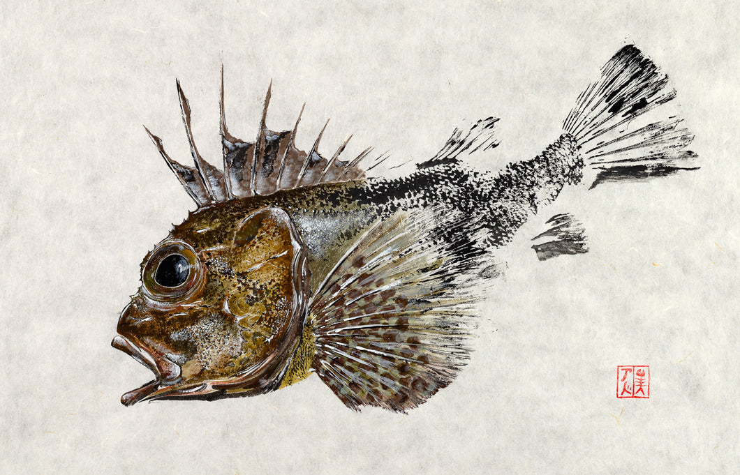 gurnard, fishing, fish art, coastal art, beach theme, gyotaku, gifts for dad, fathers day, gifts for men, gifts for fishermen, fisherman, fish