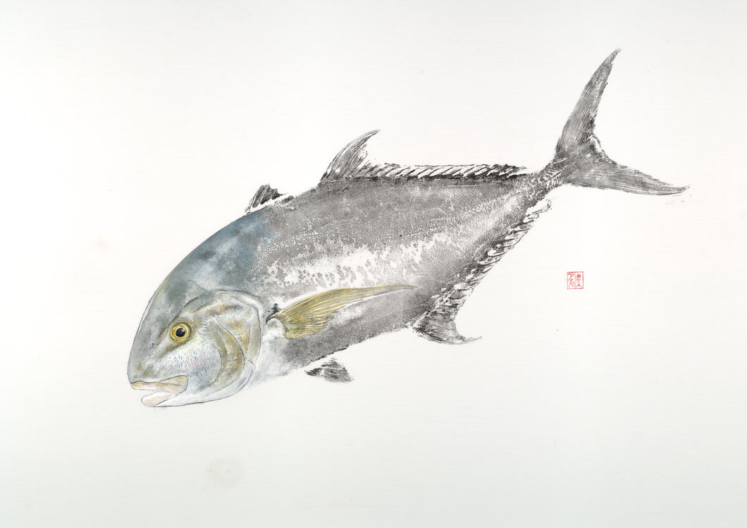 Fish art, gyotaku, fishing Australia, fish print, nature print, fishing art, coastal art, fish painting, sport fishing, painting, ocean art, fly fishing, gifts for Dad, fathers day, gifts for men, fisherman, fish