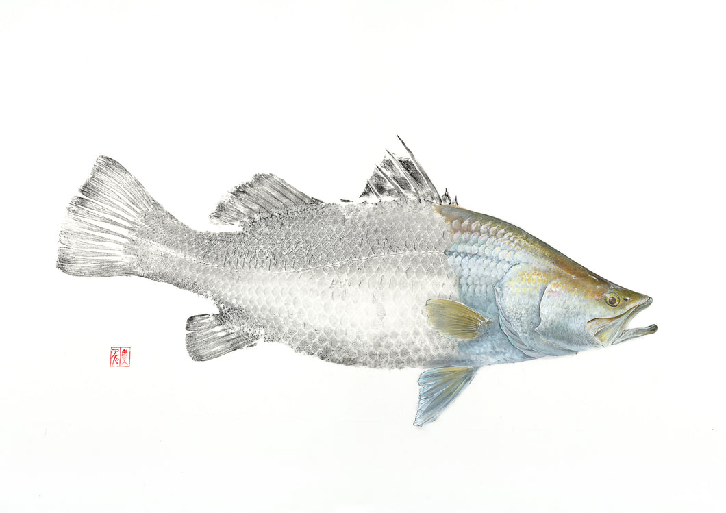 barramundi, fishing, fish art, coastal art, beach theme, gyotaku, gifts for dad, fathers day, gifts for men, gifts for fishermen, fisherman, fish