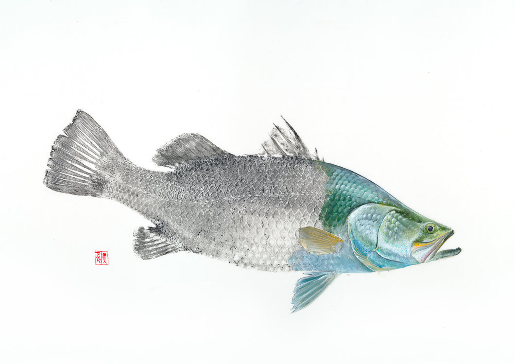 barramundi, northern territory, fishing, fish art, coastal art, beach theme, gyotaku, gifts for dad, fathers day, gifts for men, gifts for fishermen, fisherman, fish