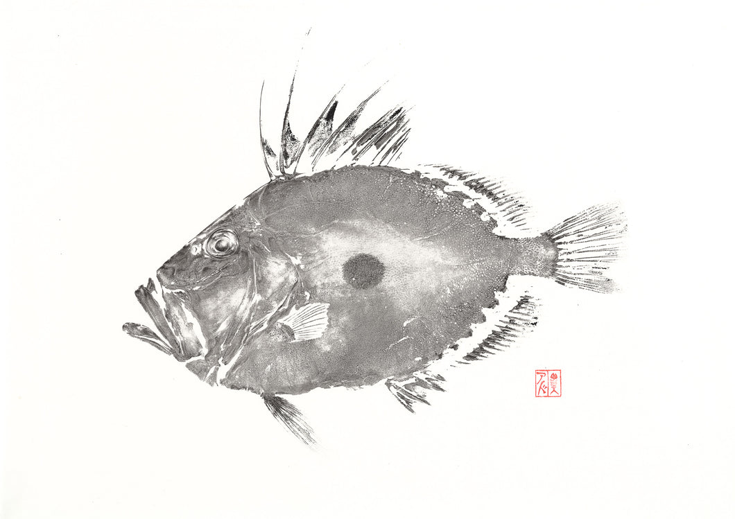 Fish art, gyotaku, fishing Australia, fish print, nature print, fishing art, coastal art, fish painting, sport fishing, painting, ocean art, fly fishing, gifts for Dad, fathers day, gifts for men, fisherman, fish