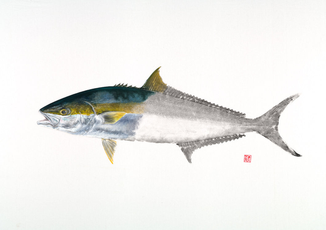 Fish art, gyotaku, fishing Australia, fish print, nature print, fishing art, coastal art, fish painting, sport fishing, painting, ocean art, fly fishing, gifts for Dad, fathers day, gifts for men, fisherman, fish, dunsborough, salty bones