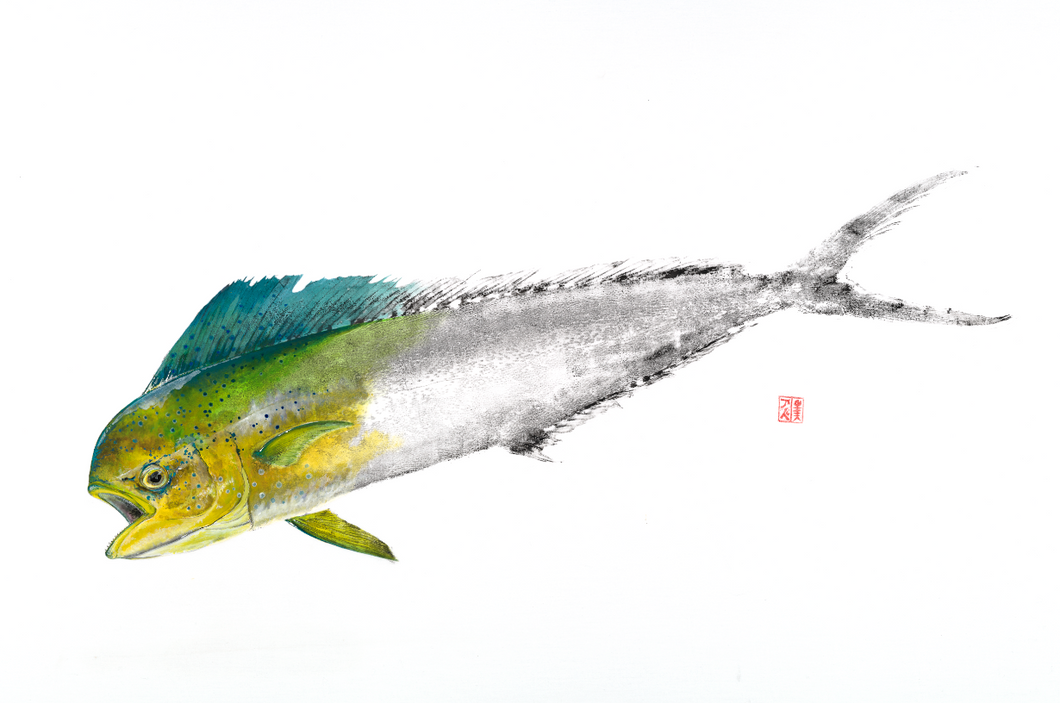 Fish art, gyotaku, fishing Australia, fish print, nature print, fishing art, coastal art, fish painting, sport fishing, painting, ocean art, fly fishing, gifts for Dad, fathers day, gifts for men, fisherman, fish