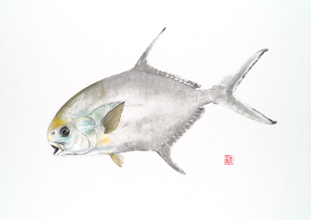 Fish art, gyotaku, fishing Australia, fish print, nature print, fishing art, coastal art, fish painting, sport fishing, painting, ocean art, fly fishing, gifts for Dad, fathers day, gifts for men, fisherman, fish, dunsborough, salty bones