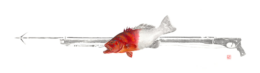 spearfishing, spearfish, coral trout, fishing, fish art, coastal art, beach theme, gyotaku, gifts for dad, fathers day, gifts for men, gifts for fishermen, fisherman, fish