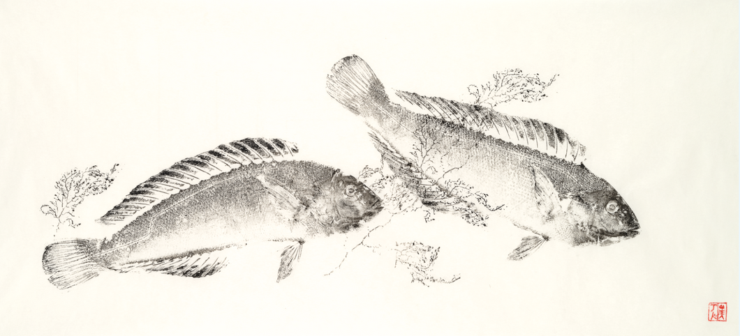 Fish art, gyotaku, fishing Australia, fish print, nature print, fishing art, coastal art, fish painting, sport fishing, painting, ocean art, fly fishing, gifts for Dad, fathers day, gifts for men, fisherman, fish, dunsborough, salty bones
