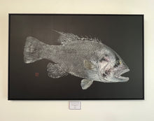 "West Australian Dhufish on Black" Original Gyotaku