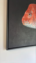 "Pink Snapper on Black" Original Gyotaku