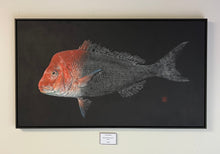 "Pink Snapper on Black" Original Gyotaku