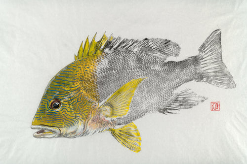 Maori Sea Perch Print by Salty Bones, fisherman gift, fish art, gift for Dad, fish lovers, coastal style, fish painting