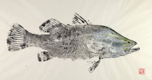 Barramundi reproduction by Salty Bones, fisherman gift, fish art, gift for Dad, fish lovers, coastal style, fish painting