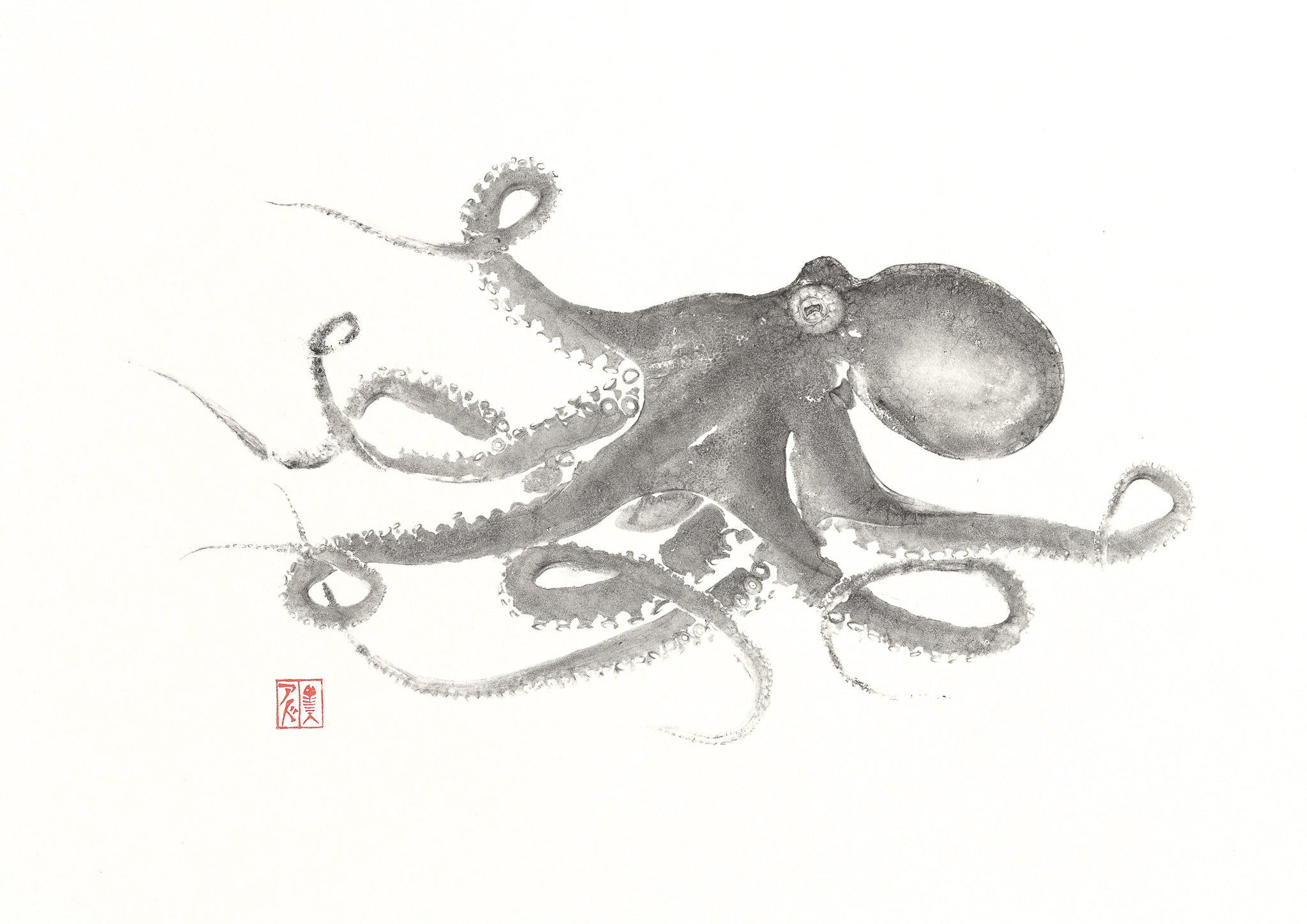 人気ショップ DSC3797.jpg?v=1662523115 その他